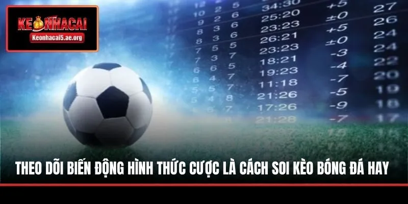 Theo dõi biến động hình thức cược là cách soi kèo bóng đá hay